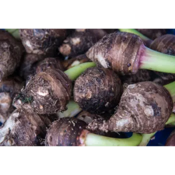 Natural Taro Root